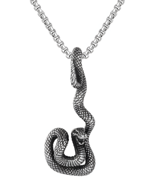 Halskette Schlangen Cobra Reptil Anhänger Edelstahl gothic 60 cm